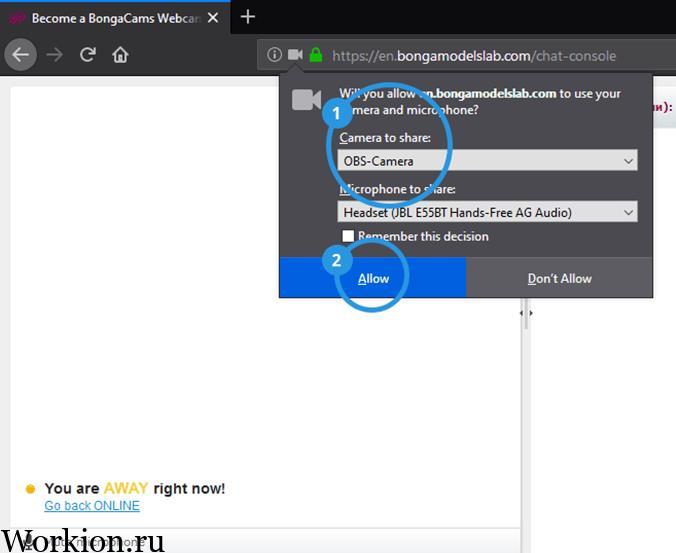OBS camera allow