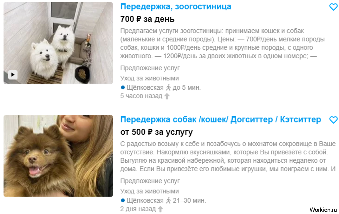 Как заработать школьнику - 50 способов