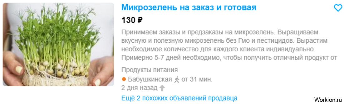 Как заработать школьнику - 50 способов