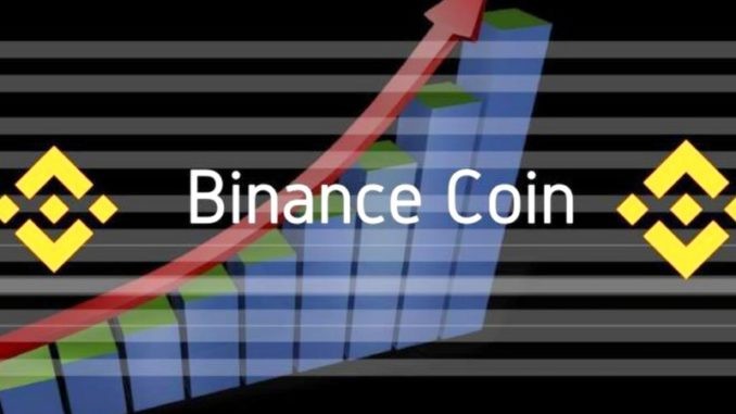 Криптовалюта Binance Coin - обзор, курс, прогноз