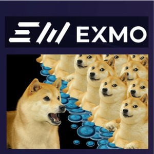 exmo dogecoin