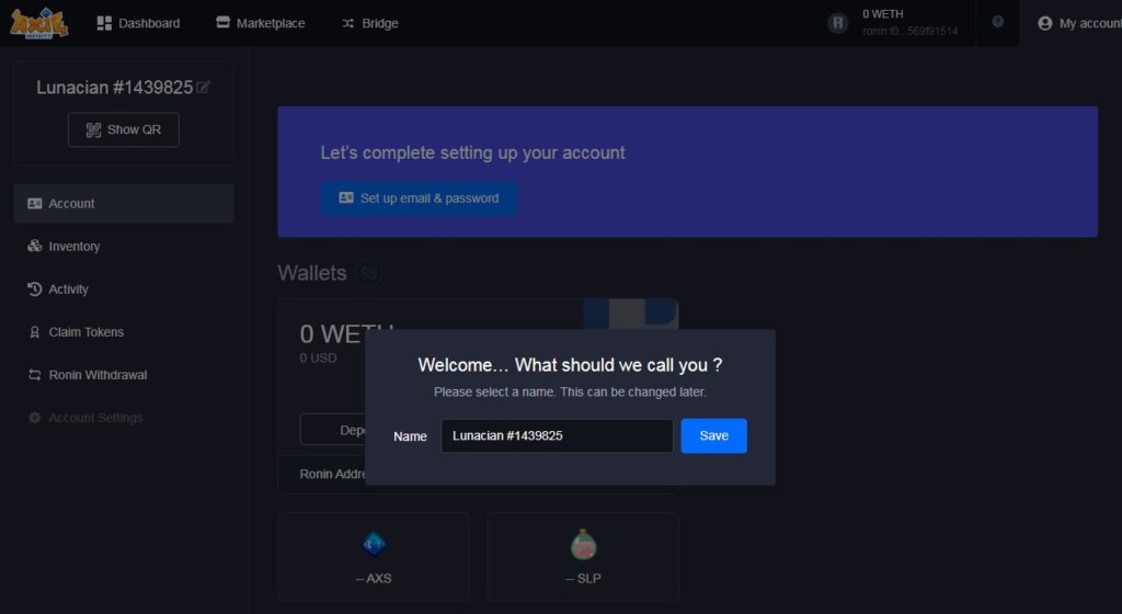 Axie Infinity задать логин